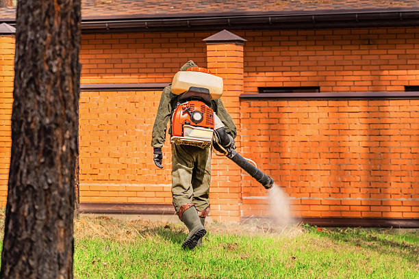 Bed Bug Clearance Verification and Documentation in Meridian